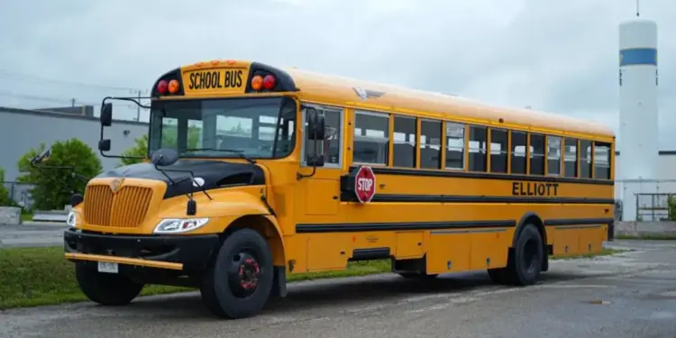 Have you ever wondered why the color of a school bus is yellow? Knowing the reason, you will also say – “This is a very smart thinking!”