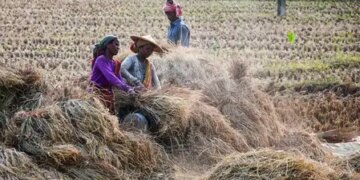 Increasing formalization of workforce in the country and expansion of social security coverage necessary: ​​SBI report