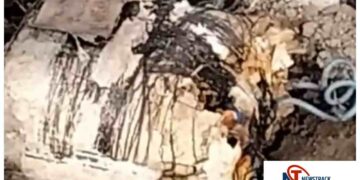 Jabalpur News: Live 12 Kg Mortar Bomb Found During Construction Work Near Airport | Madhya Pradesh News: 12 kg live mortar bomb found during excavation in Jabalpur, panic in the area. News Track in Hindi