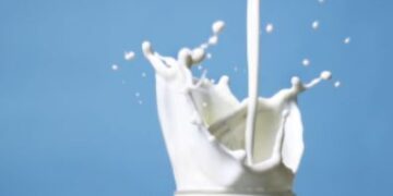 Jammu and Kashmir: License of milk unit in Bijbehara suspended for violation of rules