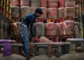 LPG Cylinder Price Today: How much is 14.2 kg domestic and 19 kg commercial cylinder costlier or cheaper? Know the latest rates