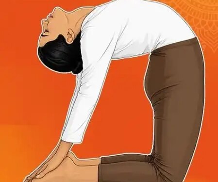Laziness prevails throughout the day, body gets tired after small tasks? Problems will go away with Ustrasana