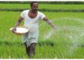 MP CM Mohan Yadav Welcomes MSP Hike for Kharif Crops, Says Farmers Will Benefit. Madhya Pradesh News: Farmers will benefit from the increase in MSP of Kharif crops: Mohan Yadav. News Track in Hindi