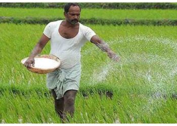 MP CM Mohan Yadav Welcomes MSP Hike for Kharif Crops, Says Farmers Will Benefit. Madhya Pradesh News: Farmers will benefit from the increase in MSP of Kharif crops: Mohan Yadav. News Track in Hindi