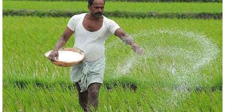 MP CM Mohan Yadav Welcomes MSP Hike for Kharif Crops, Says Farmers Will Benefit. Madhya Pradesh News: Farmers will benefit from the increase in MSP of Kharif crops: Mohan Yadav. News Track in Hindi