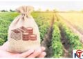 MP Cabinet Approves Crop Insurance Scheme for Next Five Years with â‚¹11,608 Crore Allocation | PM Fasal Bima Yojana: Crop insurance scheme approved for the next five years in Madhya Pradesh. News Track in Hindi