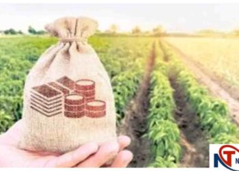 MP Cabinet Approves Crop Insurance Scheme for Next Five Years with â‚¹11,608 Crore Allocation | PM Fasal Bima Yojana: Crop insurance scheme approved for the next five years in Madhya Pradesh. News Track in Hindi