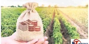 MP Cabinet Approves Crop Insurance Scheme for Next Five Years with â‚¹11,608 Crore Allocation | PM Fasal Bima Yojana: Crop insurance scheme approved for the next five years in Madhya Pradesh. News Track in Hindi