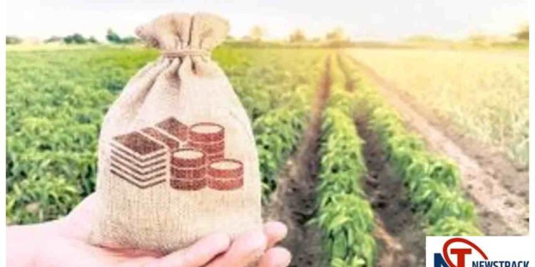 MP Cabinet Approves Crop Insurance Scheme for Next Five Years with â‚¹11,608 Crore Allocation | PM Fasal Bima Yojana: Crop insurance scheme approved for the next five years in Madhya Pradesh. News Track in Hindi