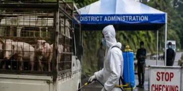 Nagaland imposes strict restrictions on ASF in view of fear of huge loss to pig farmers