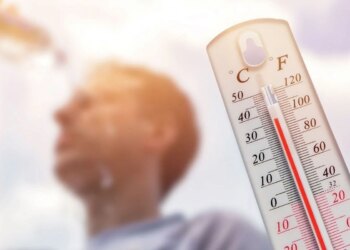 Nautapa's scorching heat becomes a danger, know ways to avoid heatwave
