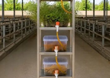 New Research: Dirty water from industries will be cleaned with earthworms, plants and hydroponics.