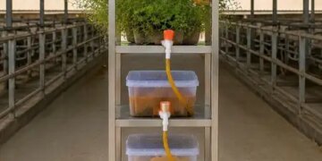 New Research: Dirty water from industries will be cleaned with earthworms, plants and hydroponics.