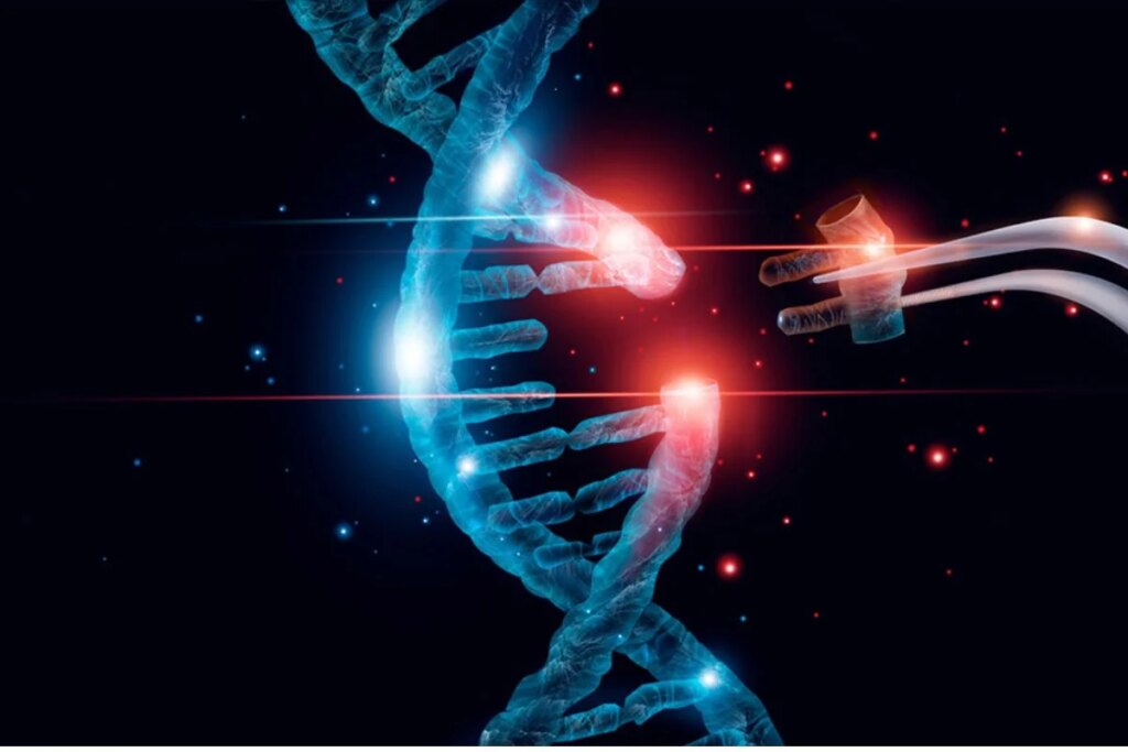 New hope to reduce bad cholesterol: Gene therapy may provide long-term benefits