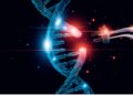 New hope to reduce bad cholesterol: Gene therapy may provide long-term benefits