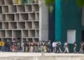 No trees will be cut for Tribune Chowk flyover: Punjab-Haryana High Court