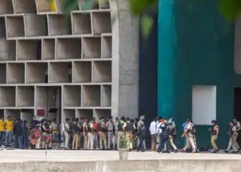 No trees will be cut for Tribune Chowk flyover: Punjab-Haryana High Court