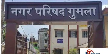 PM Awas Yojana Transforms Lives in Gumla Jharkhand From Mud Houses to Permanent Homes. Jharkhand News: Impact of PM Awas Yojana in Gumla, life changed from tiles to pucca houses. News Track in Hindi