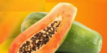 Papaya is rich in nutrients, makes bones strong, is also beneficial for hair.