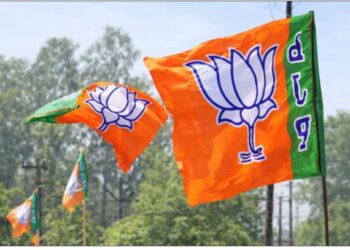 Punjab government is imposing heavy tax on fuel: BJP