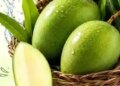 'Raw mango' is a companion of health in the scorching heat, there are many benefits of consuming it.