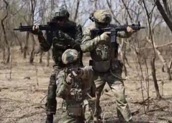 Recruitment for veterinary graduates in Indian Army, apply immediately