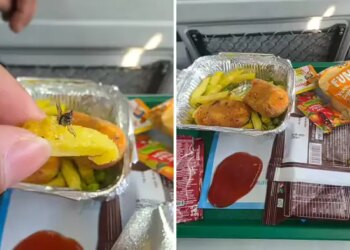 Ruckus due to worm being found in breakfast in Vande Bharat Express, passengers raised questions - Railways took action