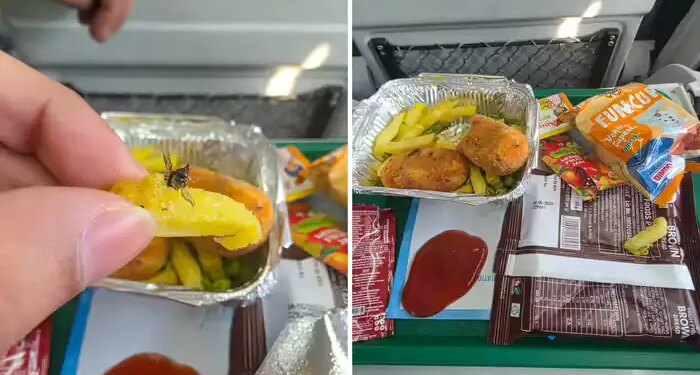 Ruckus due to worm being found in breakfast in Vande Bharat Express, passengers raised questions - Railways took action