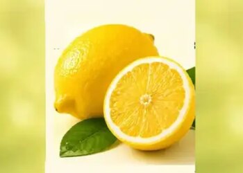 Sour-juicy lemon is no less than nectar in summer, tremendous benefits of consuming it