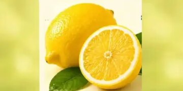 Sour-juicy lemon is no less than nectar in summer, tremendous benefits of consuming it