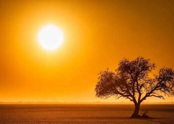 Surya Nakshatra Parivartan 2026: Sun's entry into Rohini Nakshatra will increase heat and effect, these zodiac signs will have to remain alert