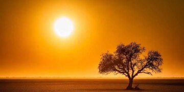 Surya Nakshatra Parivartan 2026: Sun's entry into Rohini Nakshatra will increase heat and effect, these zodiac signs will have to remain alert