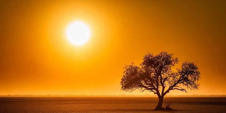 Surya Nakshatra Parivartan 2026: Sun's entry into Rohini Nakshatra will increase heat and effect, these zodiac signs will have to remain alert