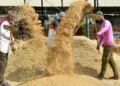 The country's first Basmati and organic training center will be built in Uttar Pradesh, the government approved the land on 70 years lease.
