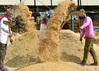 The country's first Basmati and organic training center will be built in Uttar Pradesh, the government approved the land on 70 years lease.