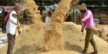 The country's first Basmati and organic training center will be built in Uttar Pradesh, the government approved the land on 70 years lease.