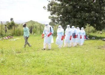 Three new cases of Ebola virus have been reported in Uganda, infection confirmed in a total of five people.
