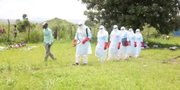 Three new cases of Ebola virus have been reported in Uganda, infection confirmed in a total of five people.