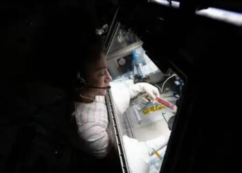 Treatment of cancer and blood disorders can be better with stem cells being prepared in space.