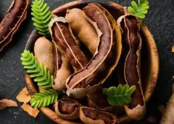 Tremendous benefits of tamarind: Whether raw or ripe, it is very beneficial for health, know complete information.