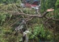 U-turn of weather in Chandigarh: Shadow darkness during day, life affected due to storm and rain