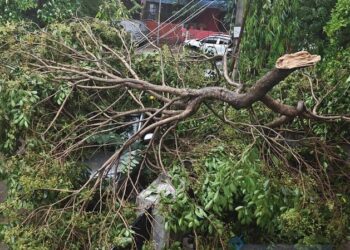 U-turn of weather in Chandigarh: Shadow darkness during day, life affected due to storm and rain