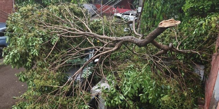 U-turn of weather in Chandigarh: Shadow darkness during day, life affected due to storm and rain