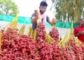 Under PM Swanidhi Yojana, more than 75.5 lakh street vendors got more than 112 lakh loans.
