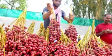 Under PM Swanidhi Yojana, more than 75.5 lakh street vendors got more than 112 lakh loans.