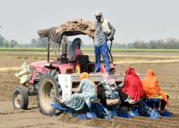 Urban unemployment decreased in India in January-March quarter, employment increased in rural areas: Government