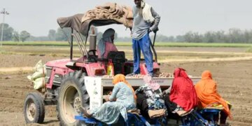 Urban unemployment decreased in India in January-March quarter, employment increased in rural areas: Government