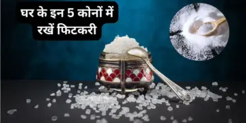 Vastu Tips: Are you troubled by lack of money? Keep this white thing at 5 special places in the house, Goddess Lakshmi's blessings will shower on you.