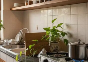 Vastu Tips: How correct is it to have sink and stove on the same slab? One mistake can spoil the balance of the house