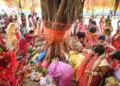 Vat Savitri Vrat 2026: Married women observed fast on Jyeshtha Amavasya, auspicious time of puja is till 12.45 pm.